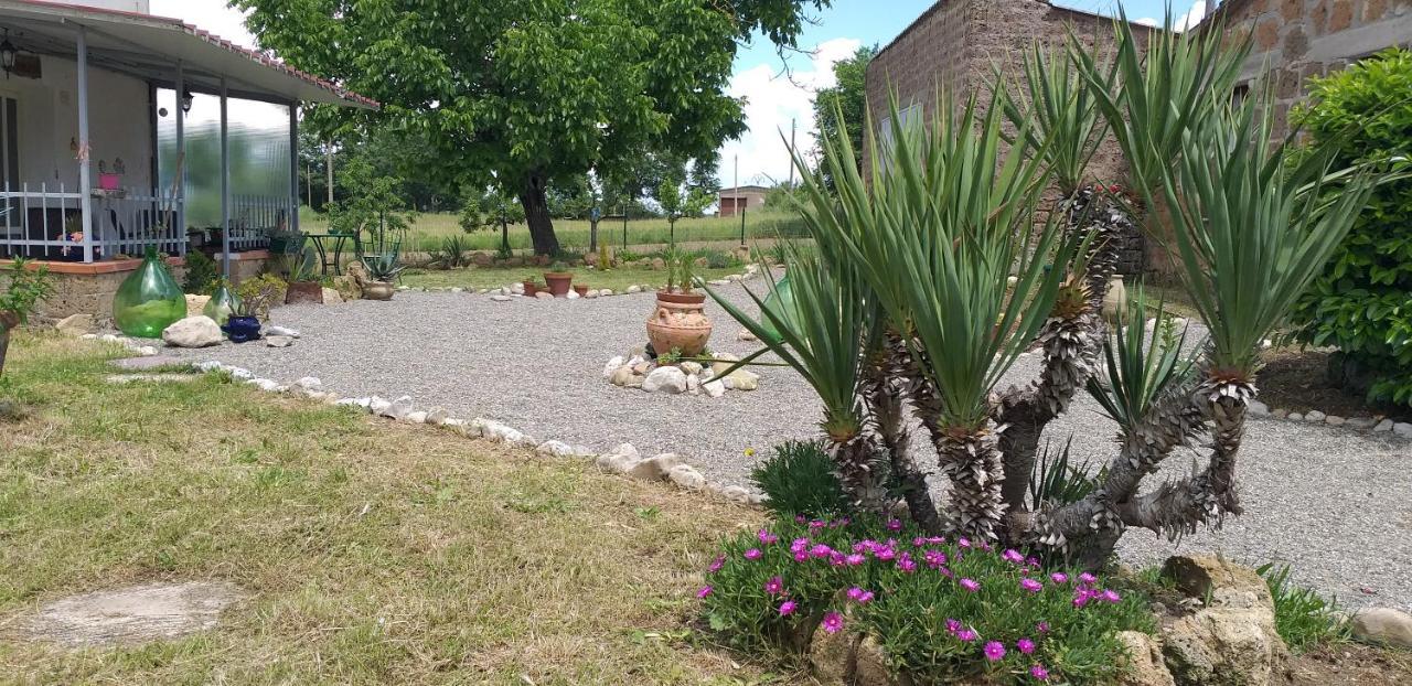 San Valentino  La Cascina Della Grotta Di Tufo B&B 외부 사진